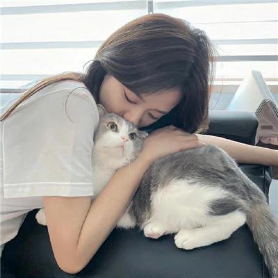 玉屏风